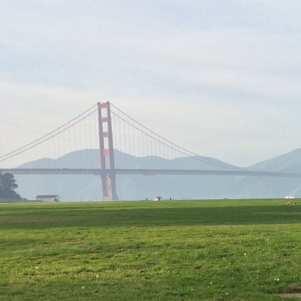 Meet your Posher, Yasamin